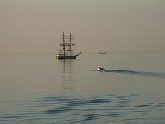 080508_Roald_Amundsen 527